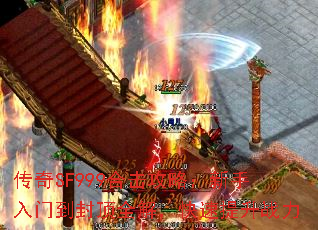 SF999ϻԣŵⶥȫ⣬ս