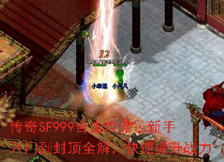 SF999ϻԣŵⶥȫ⣬ս