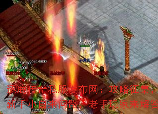¹˽С·