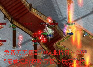 ѵиְҵ棺2025½׹淨