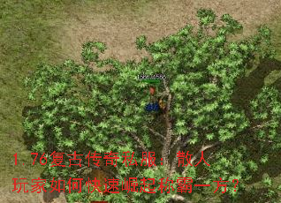 1.76Ŵ˽ɢοưһ