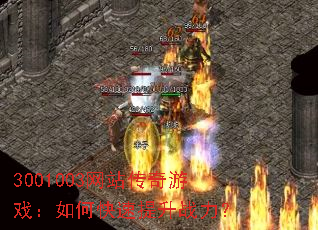 3001003վϷοս