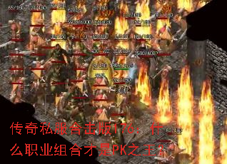 ˽ϻ176ʲôְҵϲPK֮
