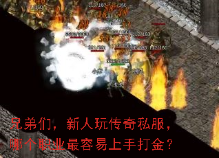 ֵǣ洫˽ĸְҵִ