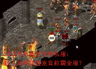 2017ⳬ䴫˽ɢοٷưȫ