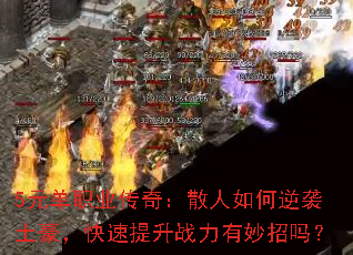 5Ԫְҵ棺ɢϮս