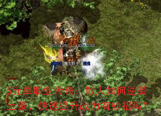 5Ԫְҵ棺ɢϮս