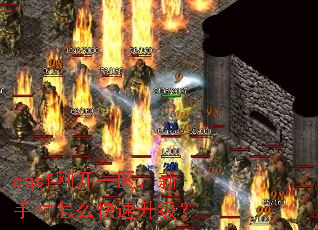 cqsfտһִô