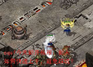 cqsf¿˽ο֣ȿӣ