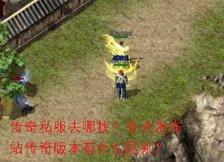 ˽ȥң󷢲վ汾ʲô