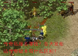 ˽ȥң󷢲վ汾ʲô