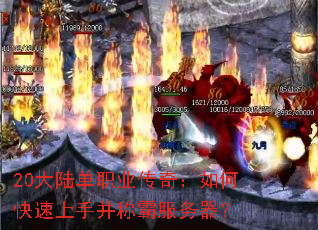 20½ְҵ棺οֲưԷ