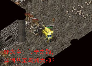SFȫ֮·δӲ񵽴