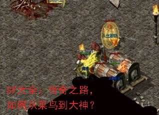 SFȫ֮·δӲ񵽴