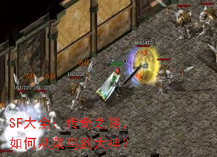 SFȫ֮·δӲ񵽴