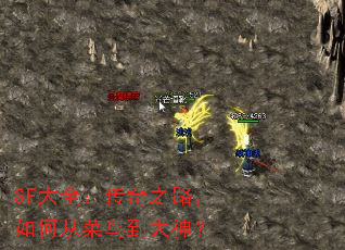 SFȫ֮·δӲ񵽴