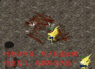 SFտɢοɣư귨½