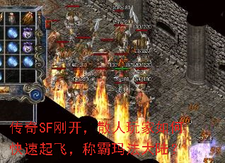 SFտɢοɣư귨½
