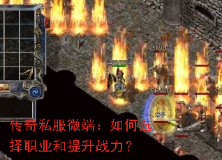 ˽΢ˣѡְҵս