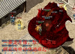 һɢڴп