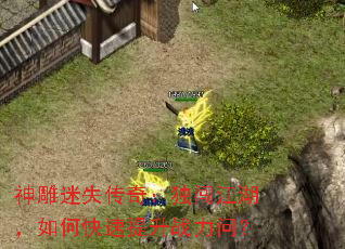 ʧ棺οսʣ