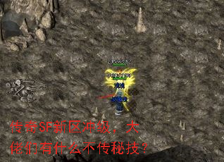 SF弶ʲôؼ