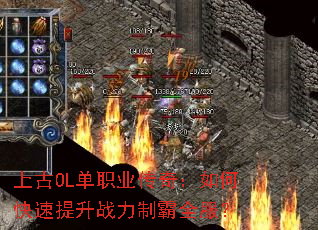 ϹOLְҵ棺οսưȫ
