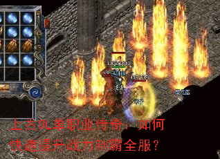 ϹOLְҵ棺οսưȫ