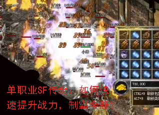ְҵSF棺οսưȫ