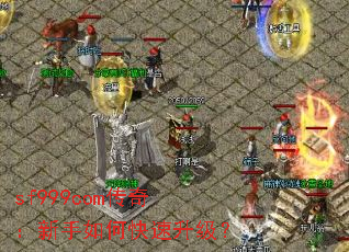 sf999com棺ο
