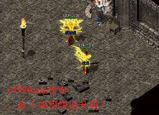 sf999com棺ο