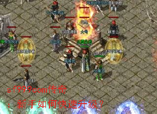 sf999com棺ο