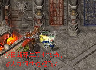 ¿ְҵ棬ɢοɣ