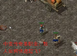 б䴫浥ְҵɢοɣ