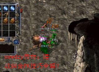 wwwdzy棺սPKȫ⣿