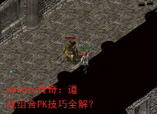 wwwdzy棺սPKȫ⣿