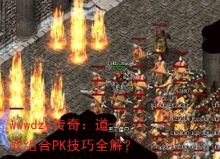 wwwdzy棺սPKȫ⣿
