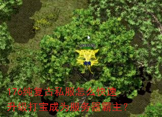 176˽ô򱦳Ϊ
