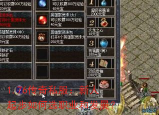 1.76˽ѡְҵͷչ