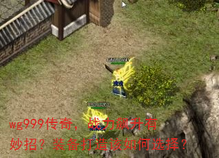 wg999棬սУװѡ