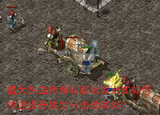 ʢѪ˽ұ֪οսBOSS