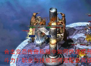 ϻ̬˽οսְҵ뼼δЧ