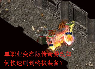 ְҵ̬洫Ϸοˢռװ