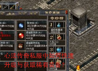 心法传奇私服中如何快速升级与获取稀有装备? 心法传奇私服中如何快速升级与获取稀有装备?