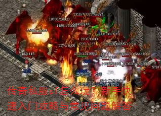 传奇私服sf怎么玩?新手快速入门攻略与常见问题解答 传奇私服sf怎么玩?新手快速入门攻略与常见问题解答