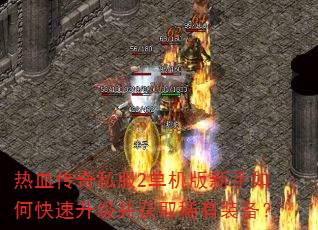 热血传奇私服2单机版新手如何快速升级并获取稀有装备? 热血传奇私服2单机版新手如何快速升级并获取稀有装备?