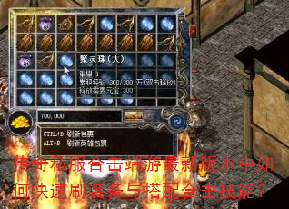 传奇私服合击端游最新版本中如何快速刷装备与搭配合击技能? 传奇私服合击端游最新版本中如何快速刷装备与搭配合击技能?