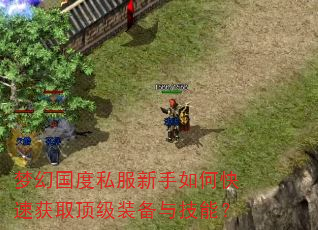 梦幻国度私服新手如何快速获取顶级装备与技能? 梦幻国度私服新手如何快速获取顶级装备与技能?