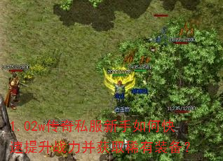 1.02w传奇私服新手如何快速提升战力并获取稀有装备? 1.02w传奇私服新手如何快速提升战力并获取稀有装备?