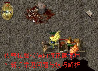 传奇私服代码如何正确使用?新手常见问题与技巧解析 传奇私服代码如何正确使用?新手常见问题与技巧解析
